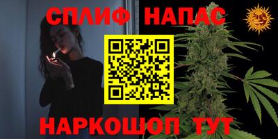гидра Можга