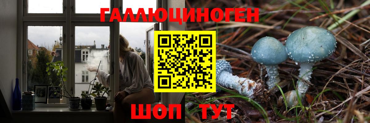 Псилоцибиновые грибы Cubensis  Вход с VPN  Хабаровск  Псилоцибиновые грибы прущие грибы 